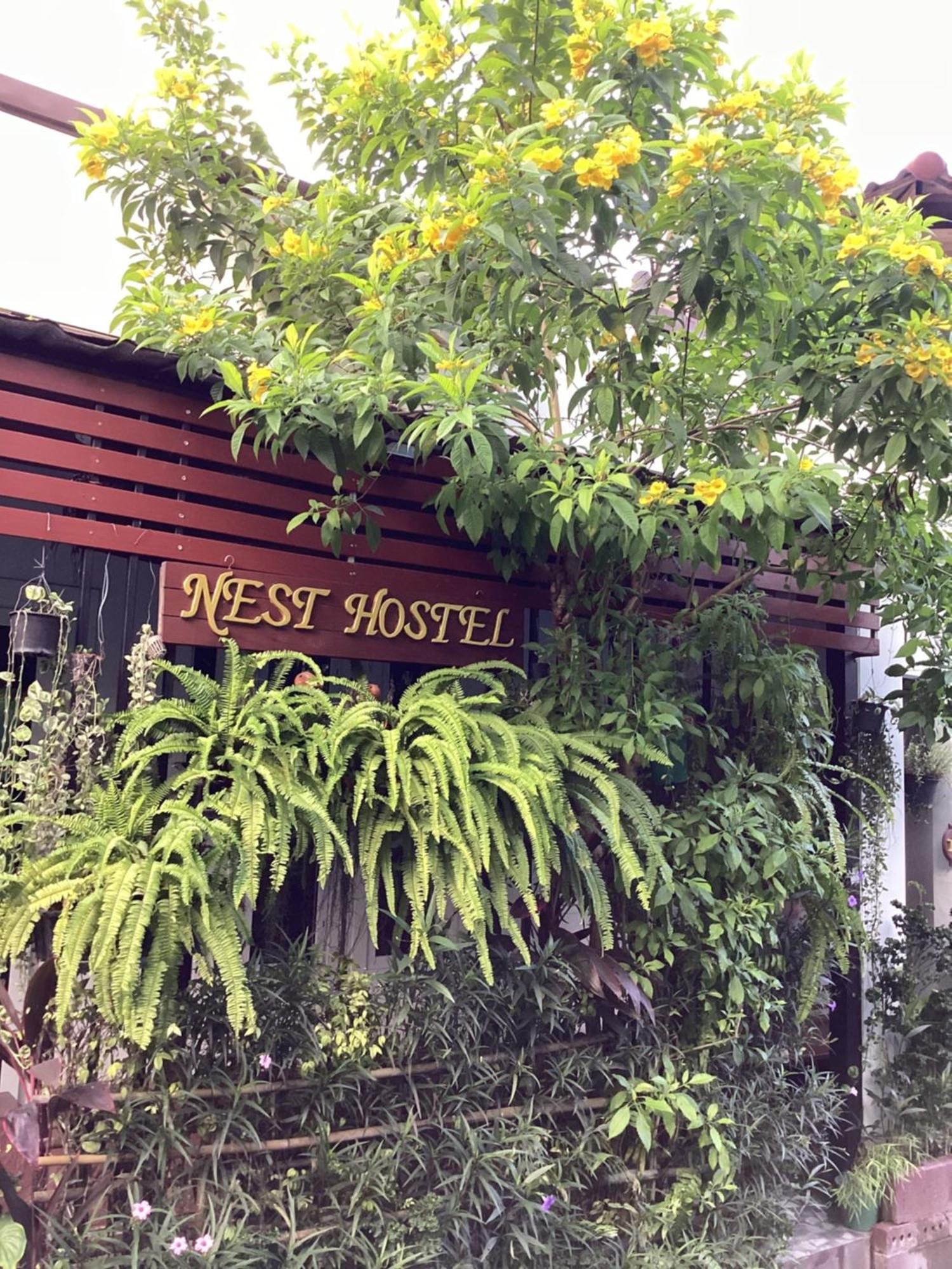 Nest hostel lipe Extérieur photo