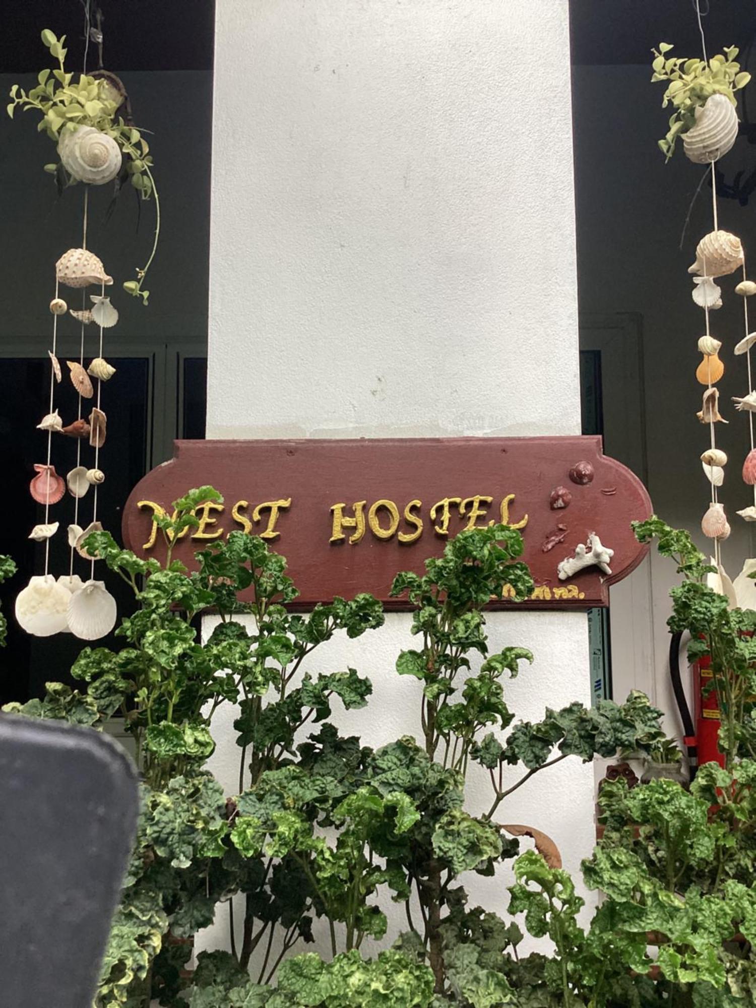 Nest hostel lipe Extérieur photo