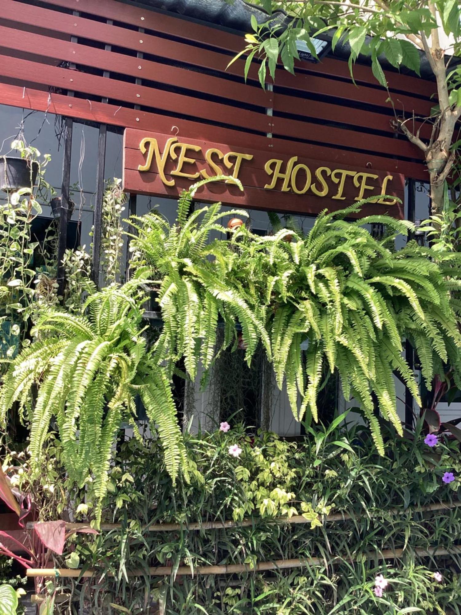 Nest hostel lipe Extérieur photo